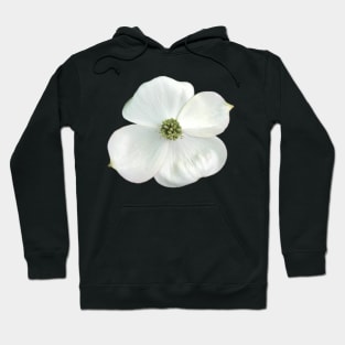 White Dogwood Flower Close-up Photo Hoodie